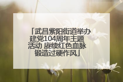 武昌紫阳街道举办建党104周年主题活动 赓续红色血脉锻造过硬作风