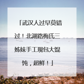 武汉人过早莫错过！北湖路梅氏三姊妹手工现包大馄饨，超鲜！