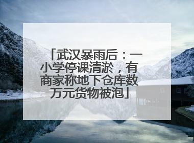 武汉暴雨后：一小学停课清淤，有商家称地下仓库数万元货物被泡