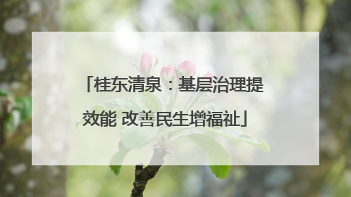桂东清泉：基层治理提效能 改善民生增福祉