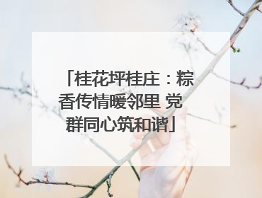 桂花坪桂庄：粽香传情暖邻里 党群同心筑和谐