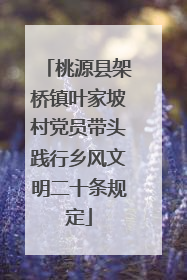桃源县架桥镇叶家坡村党员带头践行乡风文明二十条规定