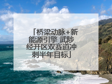 桥梁动脉+新能源引擎 武陟经开区双赛道冲刺半年目标