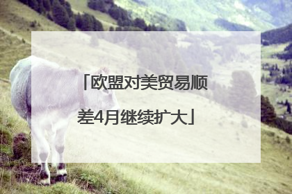 欧盟对美贸易顺差4月继续扩大