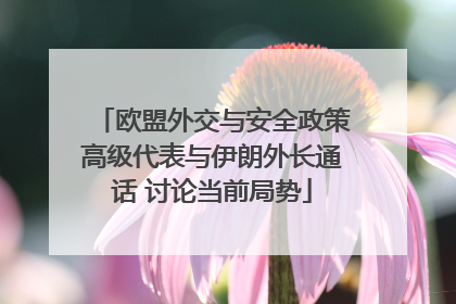 欧盟外交与安全政策高级代表与伊朗外长通话 讨论当前局势