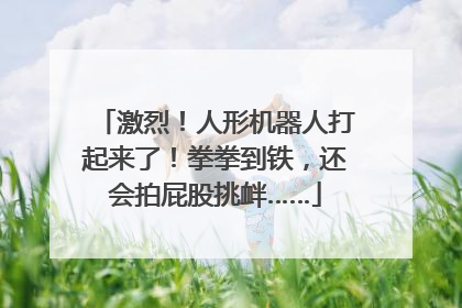 激烈！人形机器人打起来了！拳拳到铁，还会拍屁股挑衅……