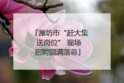 潍坊市“赶大集 送岗位” 现场招聘圆满落幕