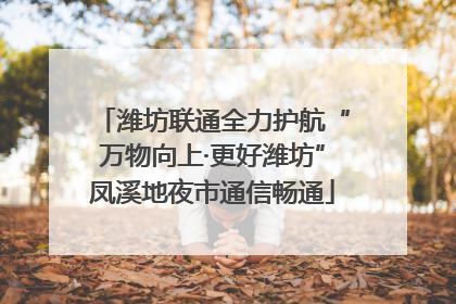 潍坊联通全力护航“万物向上·更好潍坊”凤溪地夜市通信畅通