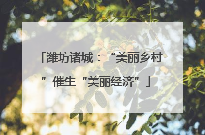 潍坊诸城：“美丽乡村”催生“美丽经济”