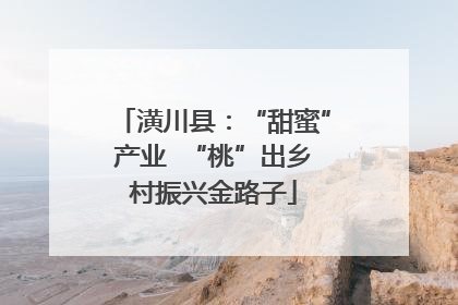 潢川县：“甜蜜”产业  “桃”出乡村振兴金路子