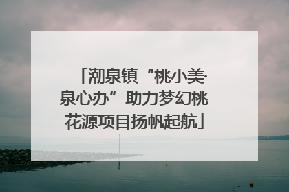 潮泉镇“桃小美·泉心办”助力梦幻桃花源项目扬帆起航