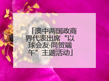 澳中两国政商界代表出席“以球会友·同贺端午”主题活动