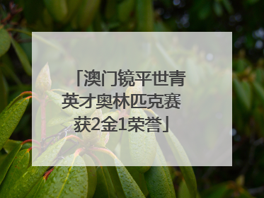 澳门镜平世青英才奥林匹克赛获2金1荣誉