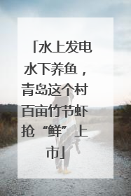 水上发电水下养鱼，青岛这个村百亩竹节虾抢“鲜”上市
