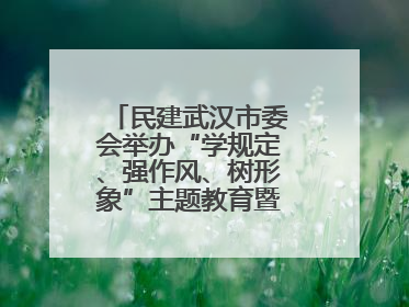 民建武汉市委会举办“学规定、强作风、树形象”主题教育暨参政议政能力素质提升培训班