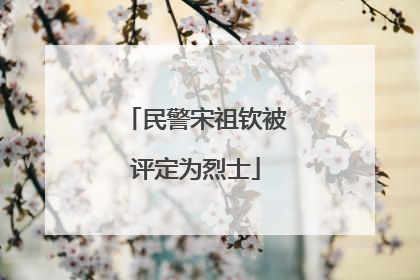 民警宋祖钦被评定为烈士