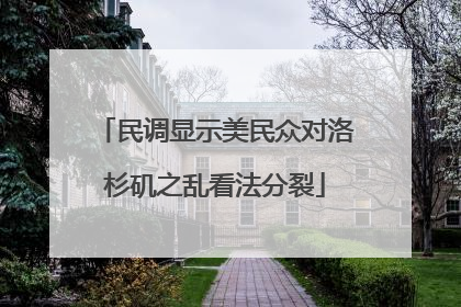 民调显示美民众对洛杉矶之乱看法分裂