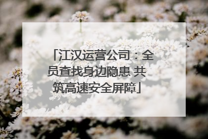 江汉运营公司：全员查找身边隐患 共筑高速安全屏障