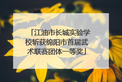 江油市长城实验学校斩获绵阳市首届武术联赛团体一等奖