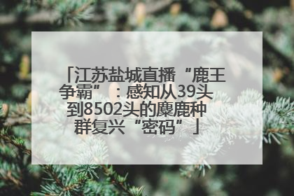 江苏盐城直播“鹿王争霸”：感知从39头到8502头的麋鹿种群复兴“密码”