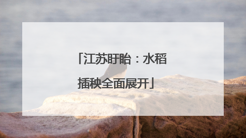 江苏盱眙：水稻插秧全面展开