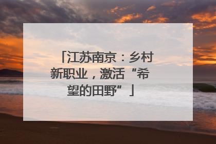 江苏南京：乡村新职业，激活“希望的田野”