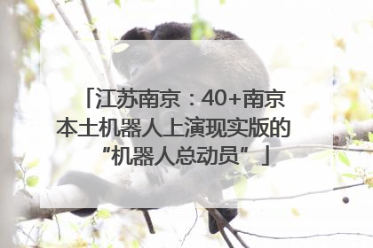 江苏南京：40+南京本土机器人上演现实版的“机器人总动员”