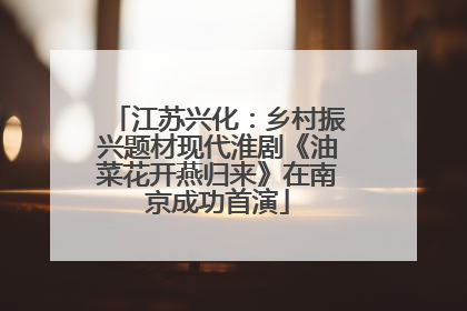 江苏兴化：乡村振兴题材现代淮剧《油菜花开燕归来》在南京成功首演