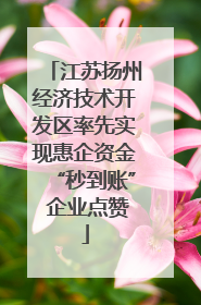 江苏扬州经济技术开发区率先实现惠企资金“秒到账” 企业点赞