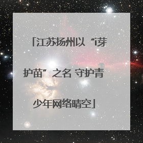 江苏扬州以“i芽护苗”之名 守护青少年网络晴空