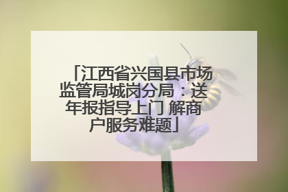 江西省兴国县市场监管局城岗分局：送年报指导上门 解商户服务难题