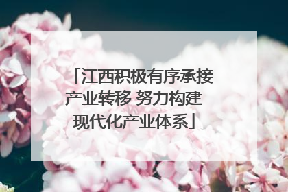 江西积极有序承接产业转移 努力构建现代化产业体系