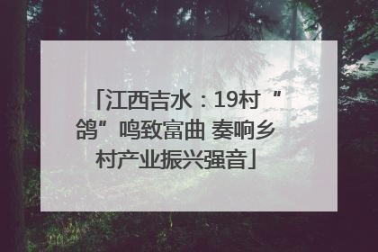 江西吉水：19村“鸽”鸣致富曲 奏响乡村产业振兴强音