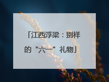 江西浮梁：别样的“六一”礼物