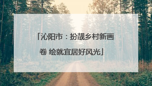 沁阳市：扮靓乡村新画卷 绘就宜居好风光