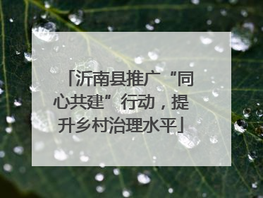 沂南县推广“同心共建”行动，提升乡村治理水平