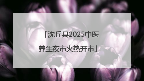 沈丘县2025中医养生夜市火热开市