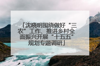 沈晓明围绕做好“三农”工作、推进乡村全面振兴开展“十五五”规划专题调研