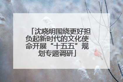 沈晓明围绕更好担负起新时代的文化使命开展“十五五”规划专题调研