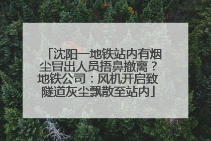 沈阳一地铁站内有烟尘冒出人员捂鼻撤离？地铁公司：风机开启致隧道灰尘飘散至站内