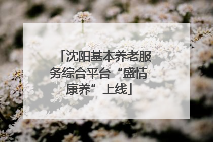 沈阳基本养老服务综合平台“盛情康养”上线