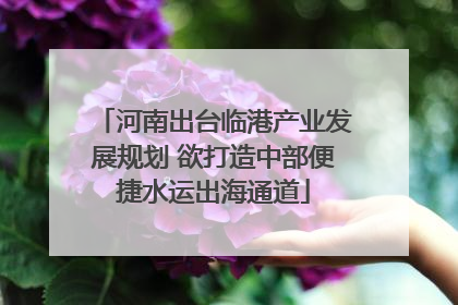 河南出台临港产业发展规划 欲打造中部便捷水运出海通道