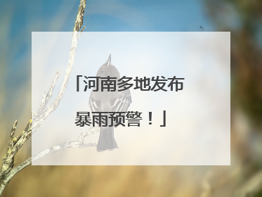 河南多地发布暴雨预警！