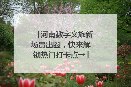 河南数字文旅新场景出圈，快来解锁热门打卡点→