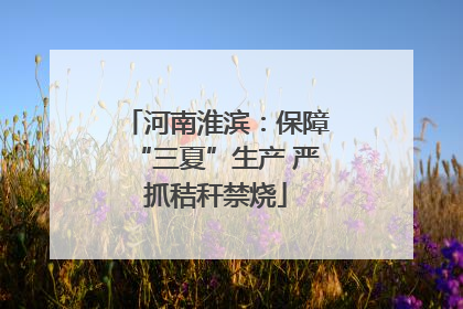 河南淮滨：保障“三夏”生产 严抓秸秆禁烧