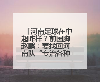 河南足球在中超咋样？前国脚赵鹏：要找回河南队“专治各种不服”的精神