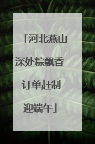 河北燕山深处粽飘香 订单赶制迎端午