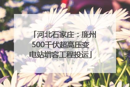 河北石家庄：廉州500千伏超高压变电站增容工程投运