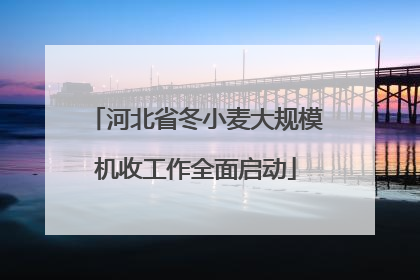 河北省冬小麦大规模机收工作全面启动