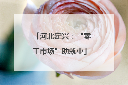 河北定兴：“零工市场”助就业